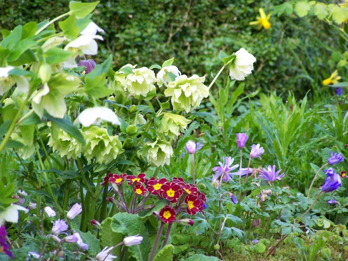Chateau De La Chassagne Bed & Breakfast Saint-Hilaire-le-Chateau ภายนอก รูปภาพ