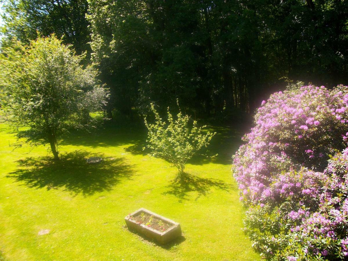 Chateau De La Chassagne Bed & Breakfast Saint-Hilaire-le-Chateau ภายนอก รูปภาพ